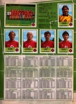 Panini Sticker Album